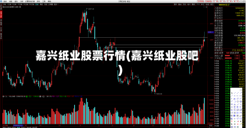 嘉兴纸业股票行情(嘉兴纸业股吧)-第2张图片