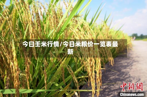 今曰壬米行情/今日米粮价一览表最新