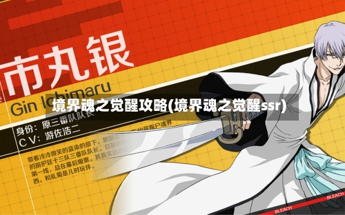 境界魂之觉醒攻略(境界魂之觉醒ssr)-第2张图片