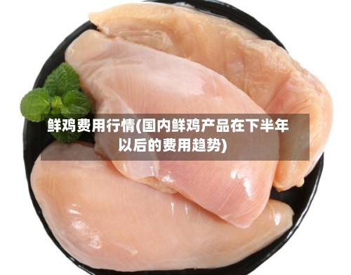 鲜鸡费用行情(国内鲜鸡产品在下半年以后的费用趋势)-第2张图片