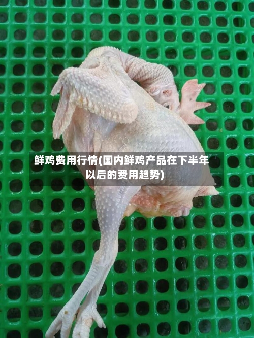 鲜鸡费用行情(国内鲜鸡产品在下半年以后的费用趋势)-第3张图片