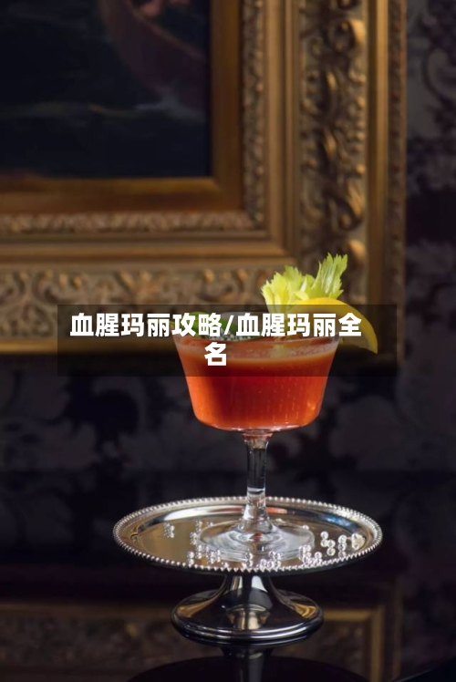 血腥玛丽攻略/血腥玛丽全名