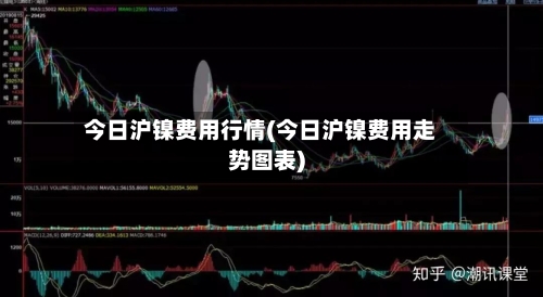 今日沪镍费用行情(今日沪镍费用走势图表)