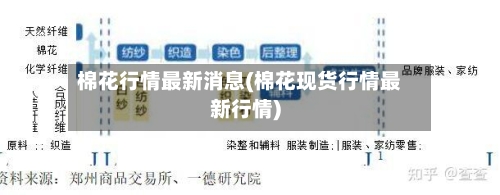 棉花行情最新消息(棉花现货行情最新行情)