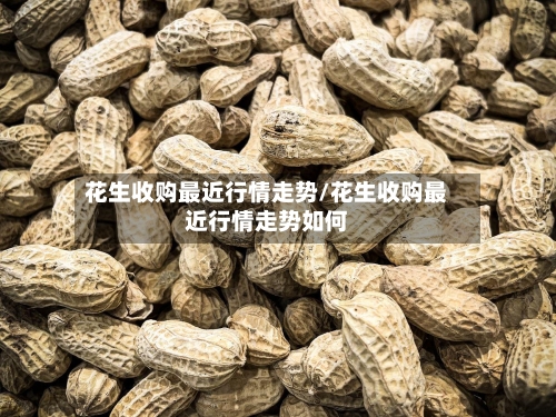 花生收购最近行情走势/花生收购最近行情走势如何-第2张图片
