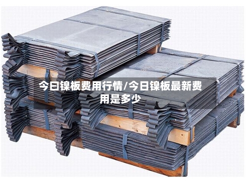 今曰镍板费用行情/今日镍板最新费用是多少-第2张图片