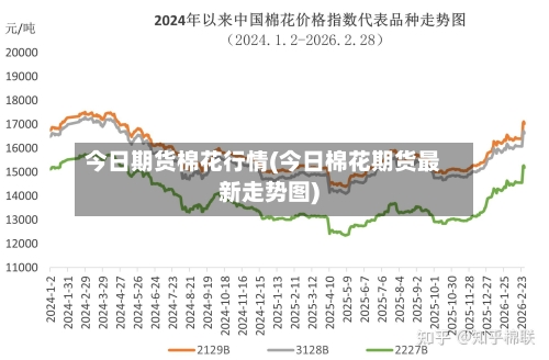 今日期货棉花行情(今日棉花期货最新走势图)
