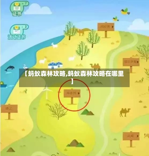 【蚂蚁森林攻略,蚂蚁森林攻略在哪里】-第2张图片