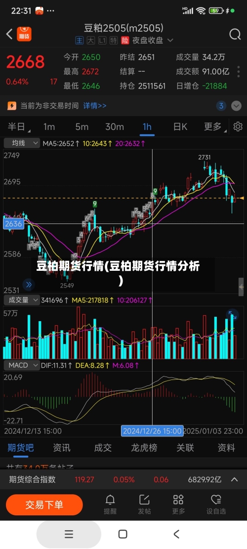 豆柏期货行情(豆柏期货行情分析)