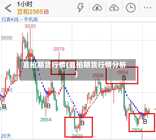 豆柏期货行情(豆柏期货行情分析)-第3张图片