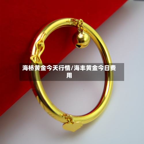 海桥黄金今天行情/海丰黄金今日费用-第2张图片
