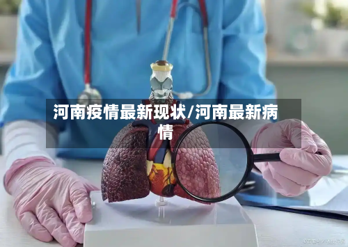 河南疫情最新现状/河南最新病情-第2张图片