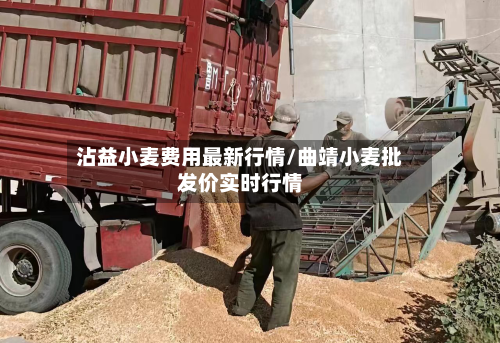 沾益小麦费用最新行情/曲靖小麦批发价实时行情-第3张图片