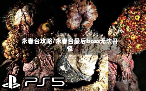 永春台攻略/永春台最后boss无法开怪-第2张图片