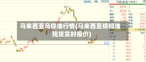 马来西亚马棕油行情(马来西亚棕榈油现货实时报价)