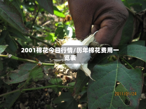 2001棉花今日行情/历年棉花费用一览表