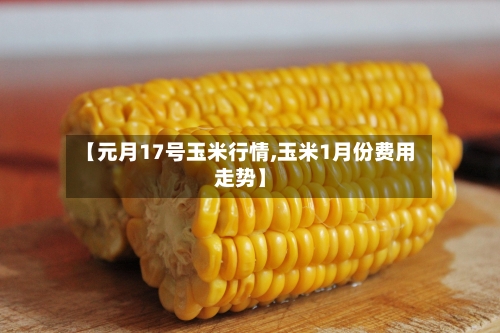 【元月17号玉米行情,玉米1月份费用走势】-第2张图片