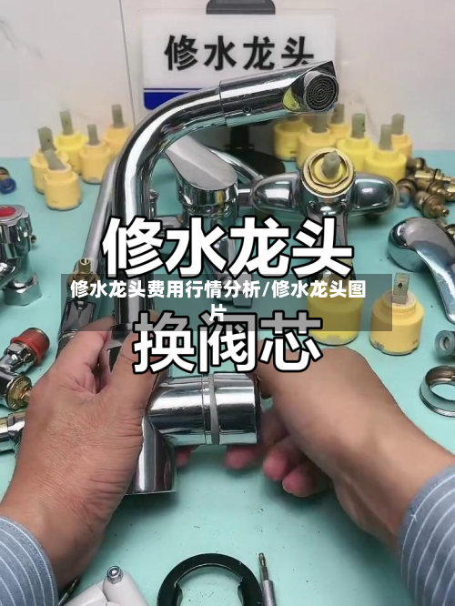 修水龙头费用行情分析/修水龙头图片-第3张图片