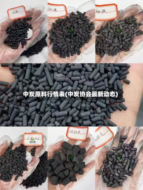 中炭原料行情表(中炭协会最新动态)-第2张图片