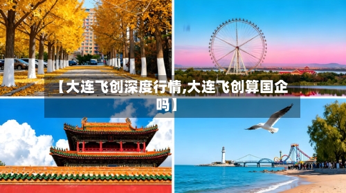 【大连飞创深度行情,大连飞创算国企吗】-第2张图片