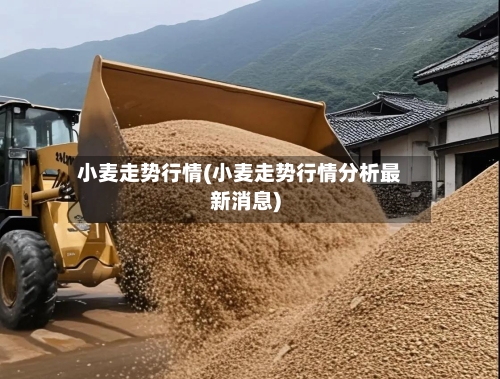 小麦走势行情(小麦走势行情分析最新消息)-第3张图片