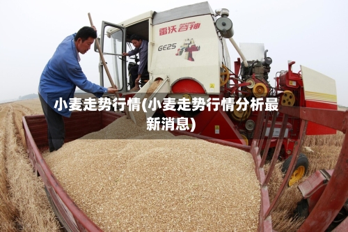 小麦走势行情(小麦走势行情分析最新消息)-第2张图片