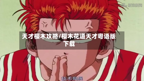 天才樱木攻略/樱木花道天才粤语版下载-第2张图片
