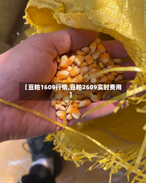 【豆粕1609行情,豆粕2609实时费用】-第2张图片
