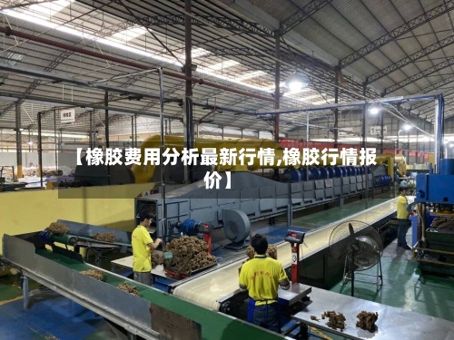 【橡胶费用分析最新行情,橡胶行情报价】-第1张图片
