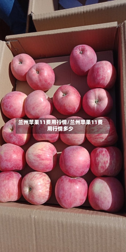 兰州苹果11费用行情/兰州苹果11费用行情多少-第1张图片