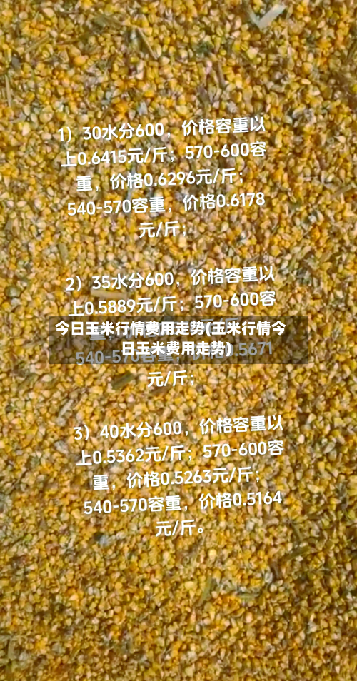 今日玉米行情费用走势(玉米行情今日玉米费用走势)-第3张图片