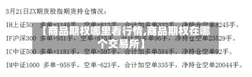 【商品期权哪里看行情,商品期权在哪个交易所】-第1张图片