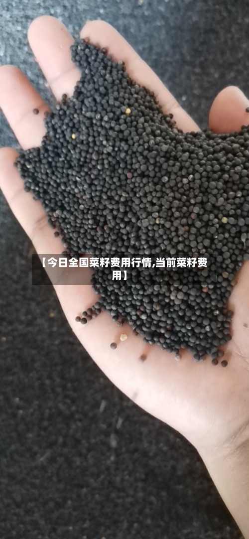 【今日全国菜籽费用行情,当前菜籽费用】-第1张图片