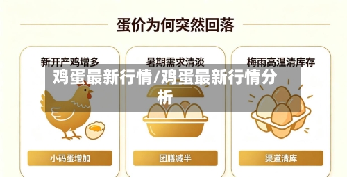 鸡蛋最新行情/鸡蛋最新行情分析-第2张图片