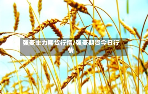 强麦主力期货行情/强麦期货今日行情