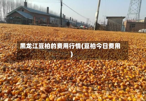 黑龙江豆柏的费用行情(豆柏今日费用)-第2张图片