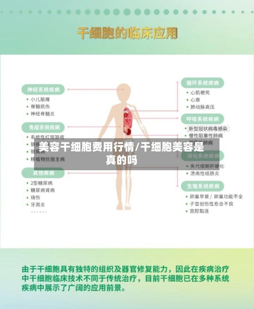 美容干细胞费用行情/干细胞美容是真的吗