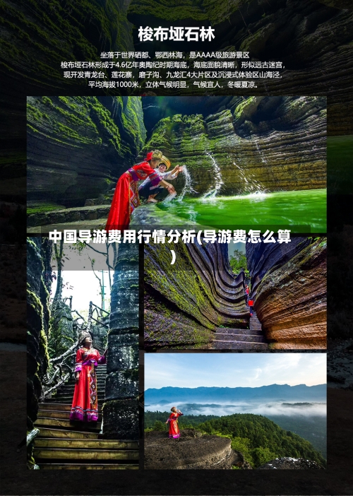 中国导游费用行情分析(导游费怎么算)