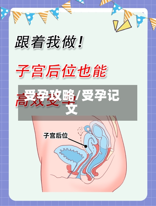 受孕攻略/受孕记文