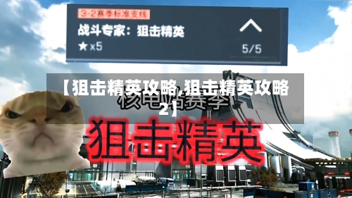 【狙击精英攻略,狙击精英攻略2】