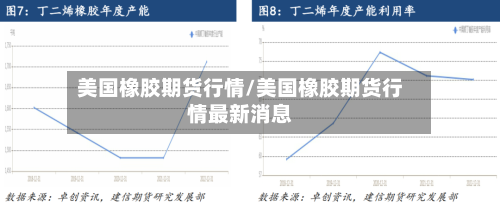 美国橡胶期货行情/美国橡胶期货行情最新消息-第2张图片