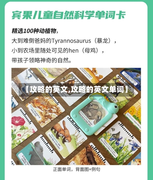 【攻略的英文,攻略的英文单词】