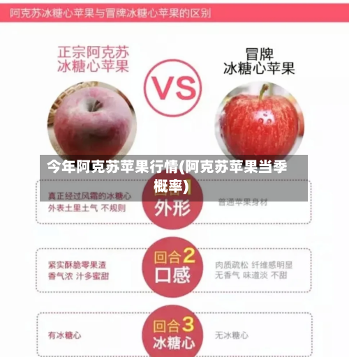 今年阿克苏苹果行情(阿克苏苹果当季概率)