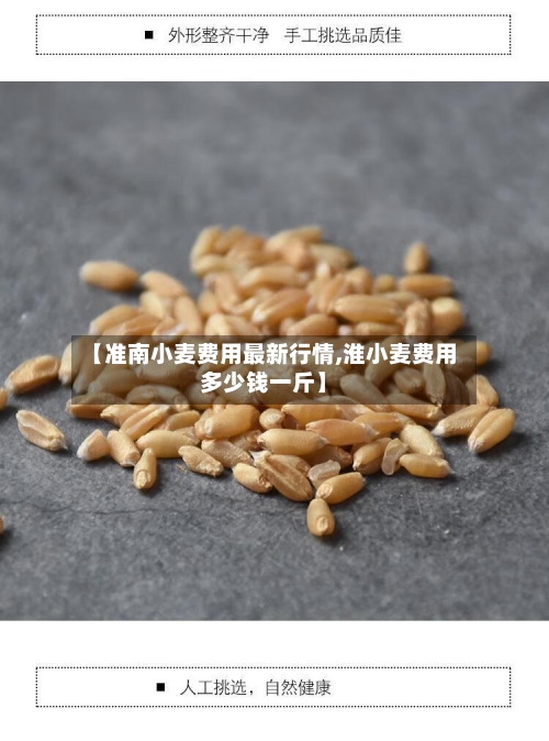 【准南小麦费用最新行情,淮小麦费用多少钱一斤】