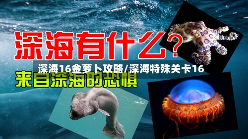 深海16金萝卜攻略/深海特殊关卡16