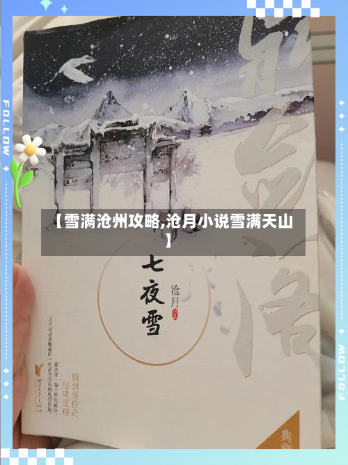 【雪满沧州攻略,沧月小说雪满天山】
