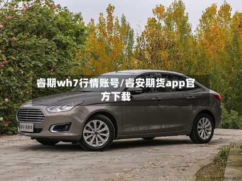 睿期wh7行情账号/睿安期货app官方下载-第2张图片