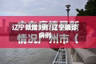 辽宁新增3例/辽宁确诊病例-第1张图片