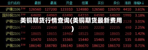 美铜期货行情查询(美铜期货最新费用)-第2张图片
