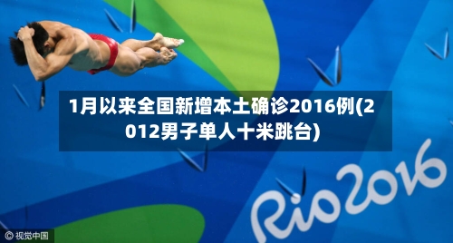 1月以来全国新增本土确诊2016例(2012男子单人十米跳台)-第3张图片